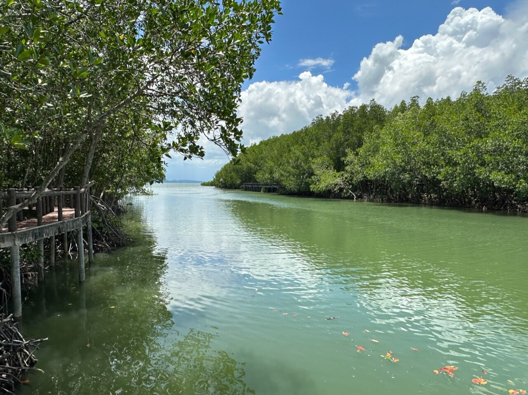 Mu Ko Chumphon National Park景点图片