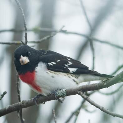 Penn Lake Park-Marathon必去景点