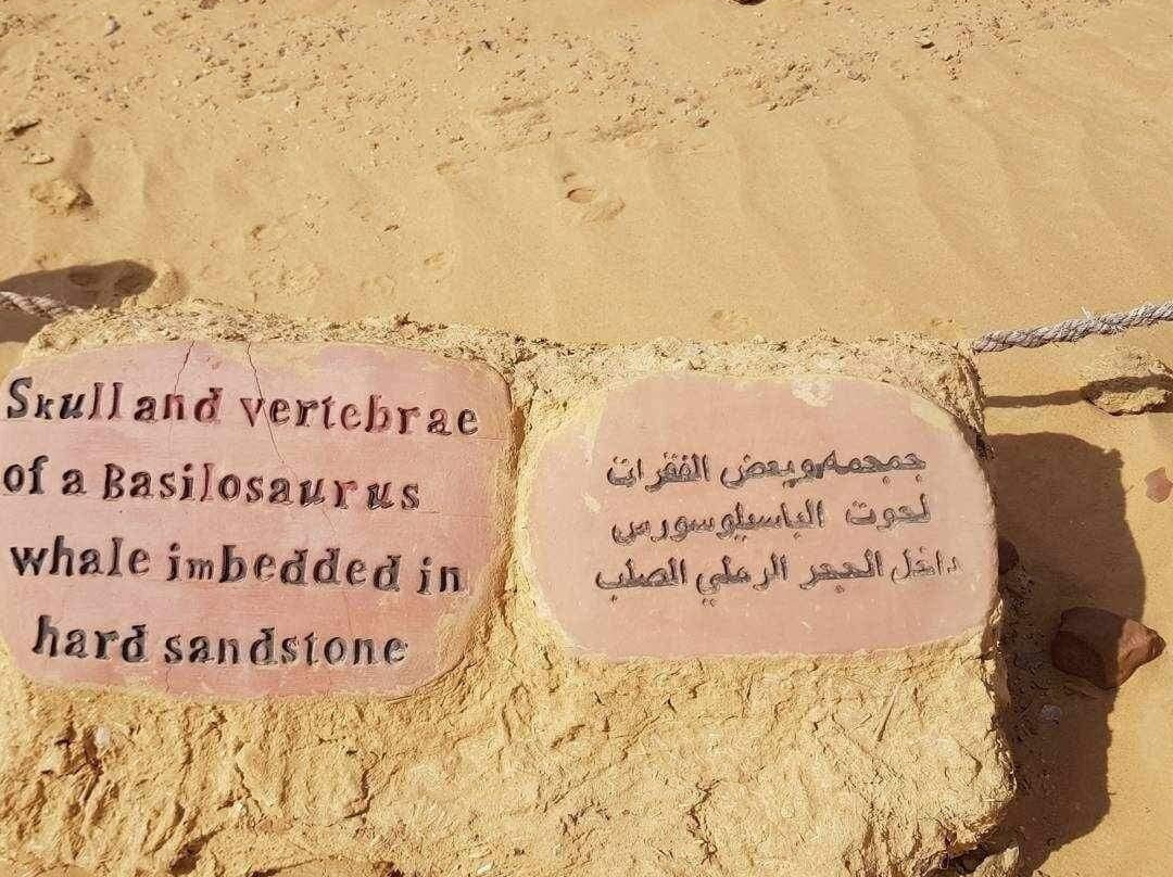 Western Desert Travel-Bahariya Oasis必去景点