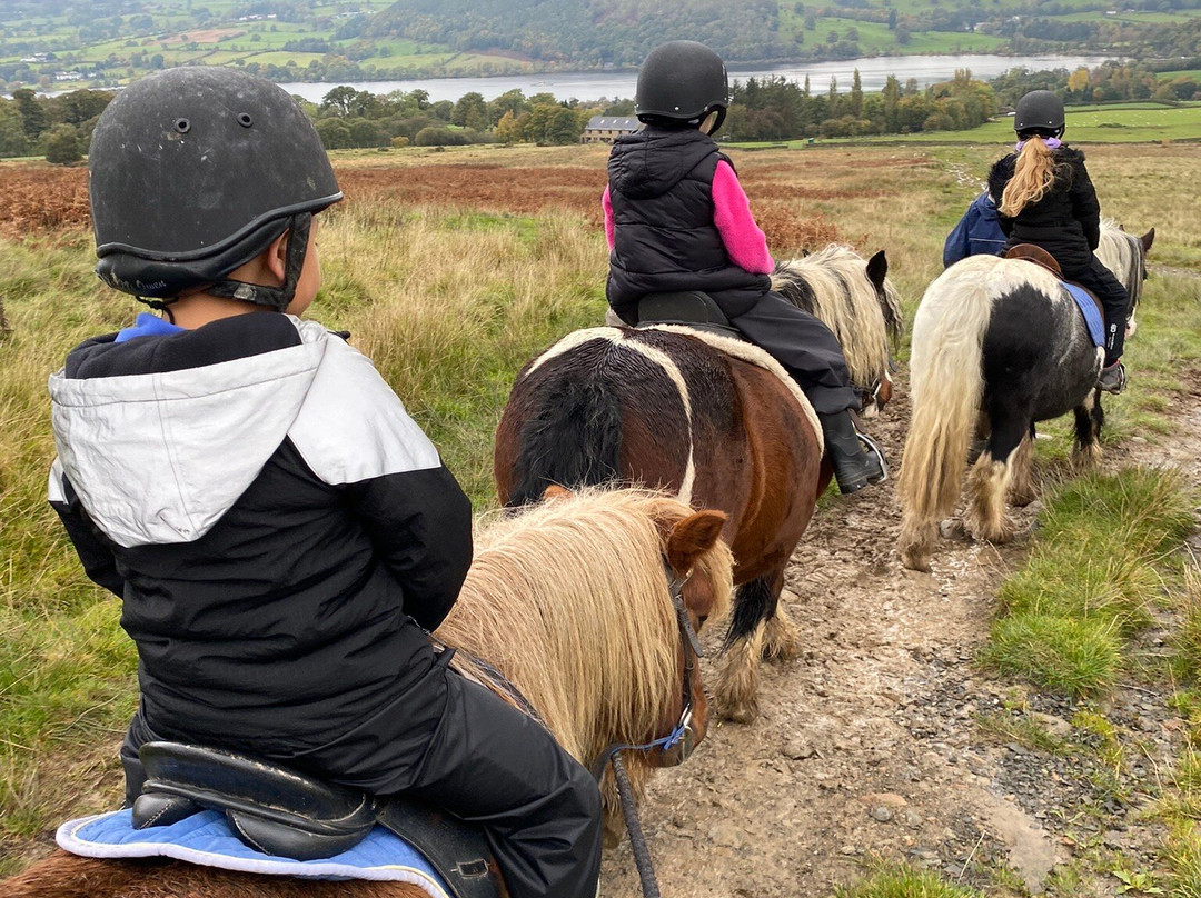 Pony Trekking Ullswater景点图片