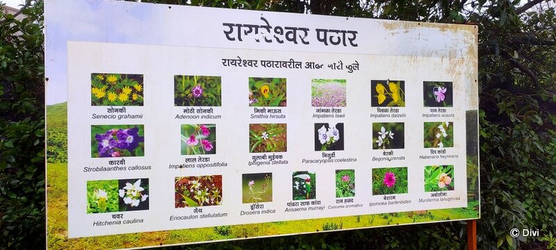 Raireshwar Temple-Raireshwar必去景点