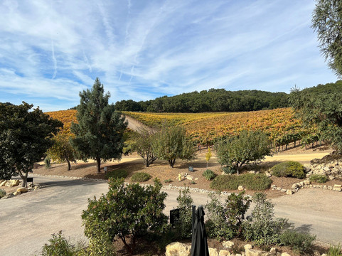 Grapeline Wine Tours, Paso Robles-帕索罗布尔斯必去景点