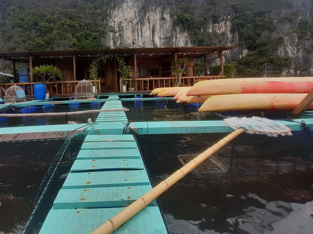 Eco Floating Farm Stay CAI Beo