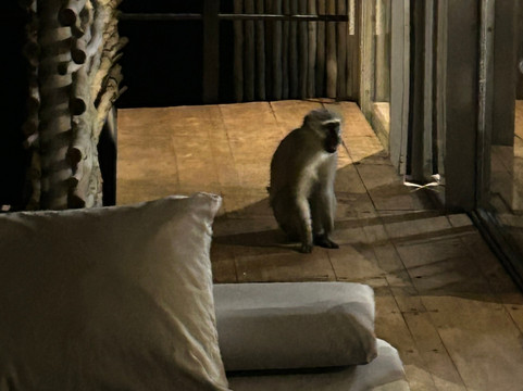 Singita Lebombo小屋主图