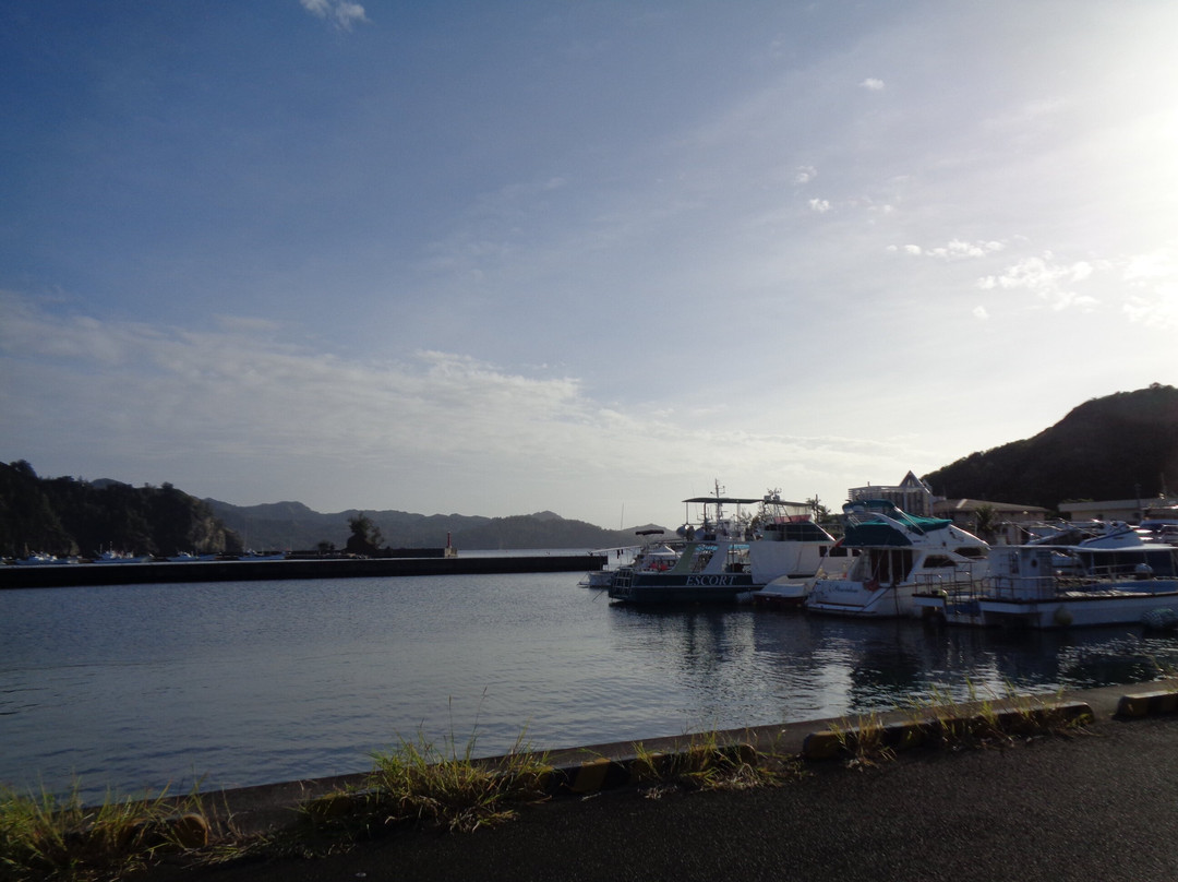Tobiuo Pier-Chichi-jima必去景点