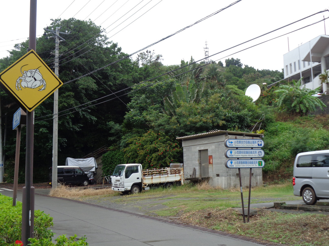 Ogasawara National Park-小笠原村必去景点
