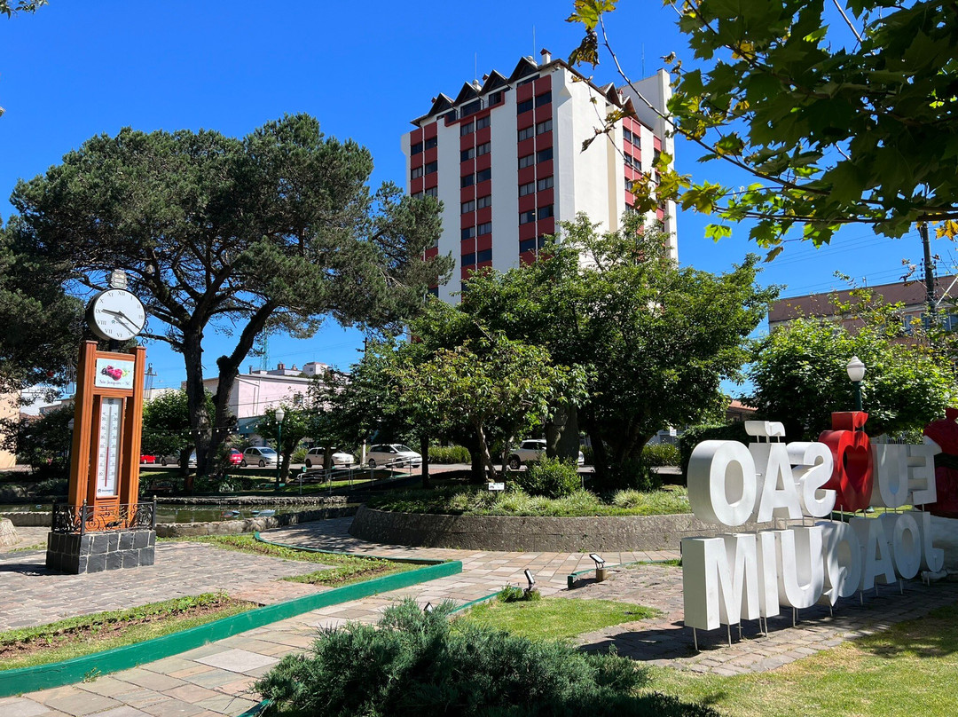 Sao Joaquim Park Hotel主图