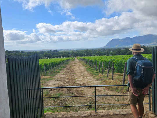 The Constantia Wine Walk-康士坦提亚必去景点