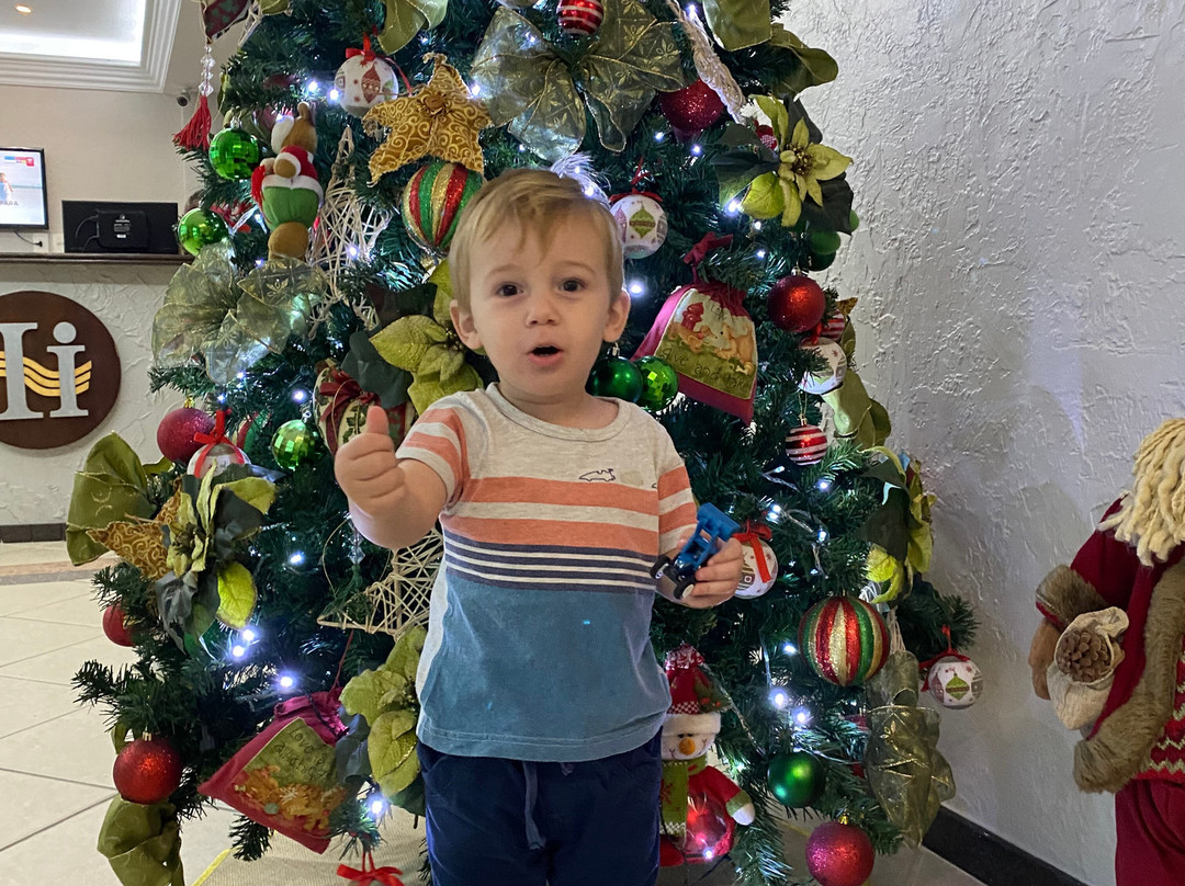 意大利酒店主图