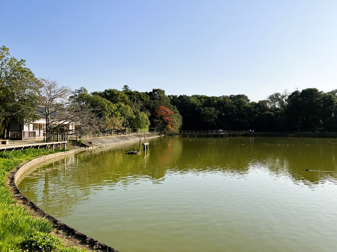 Fukada Pond-橿原市必去景点