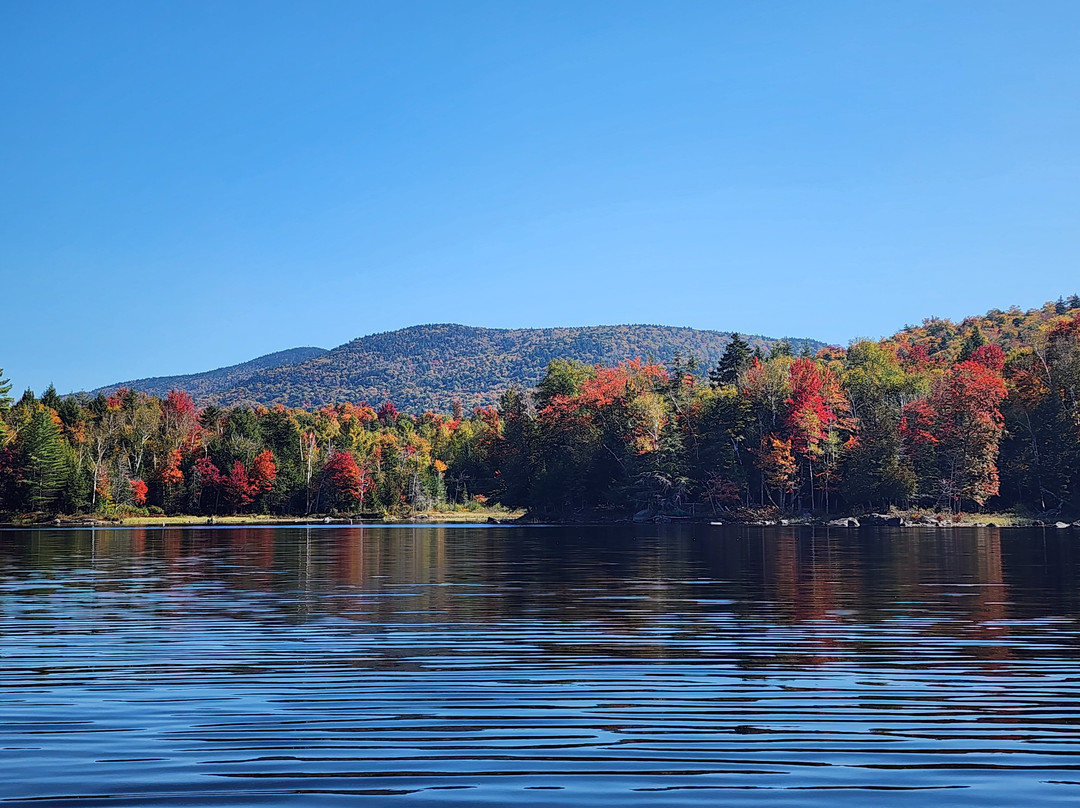 Pine Terrace Motel & Resort主图