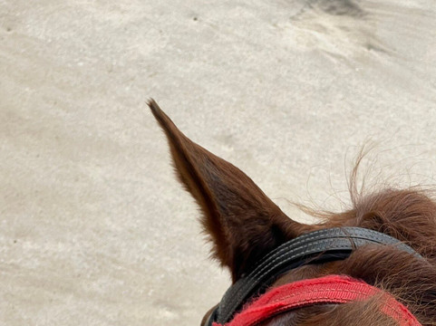 普吉国际马术俱乐部-呈塔累必去景点