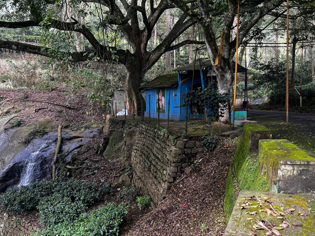 Oland Plantation Farm Stay主图