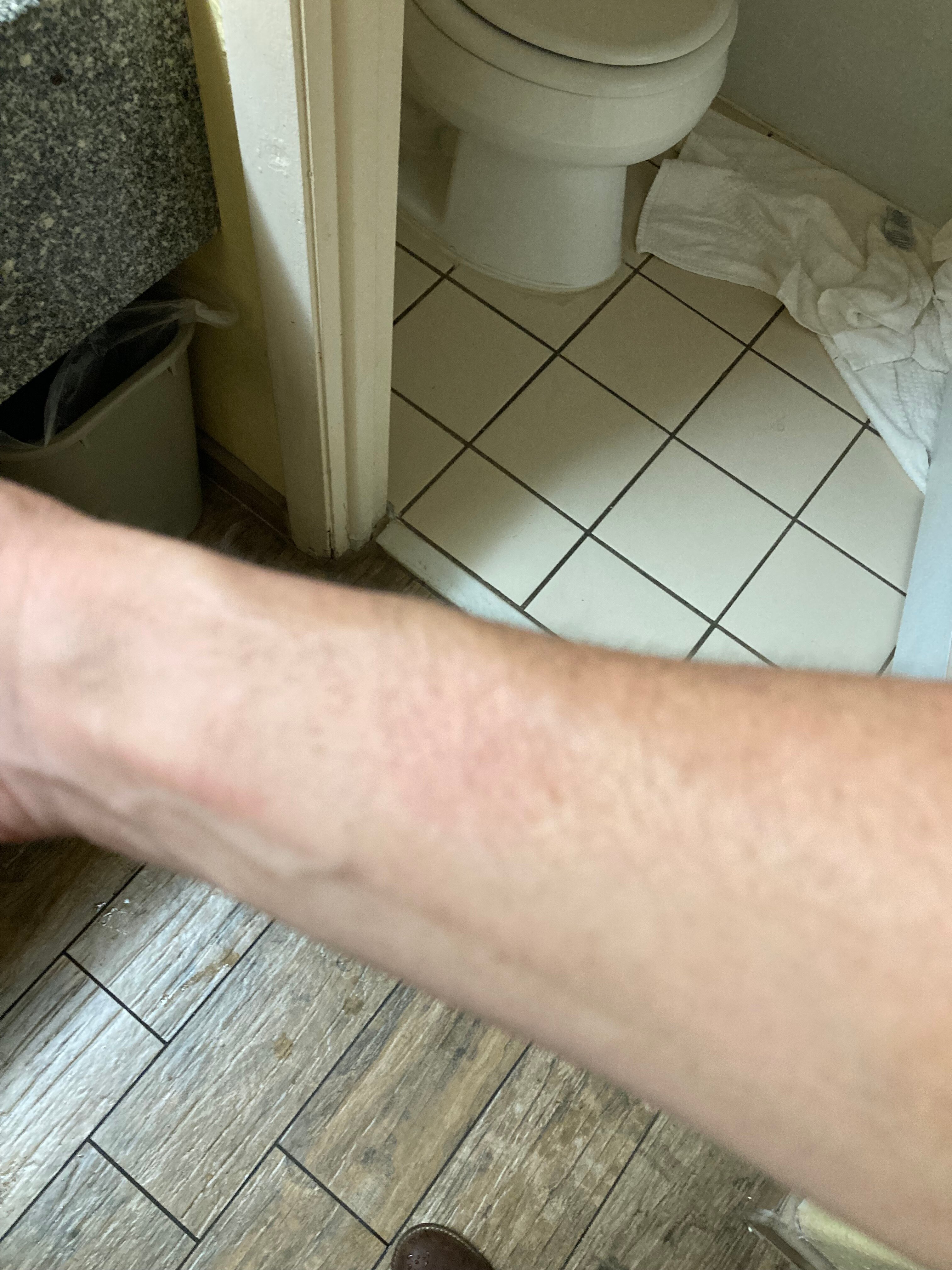 Quality Inn White Springs Suwanee-官方