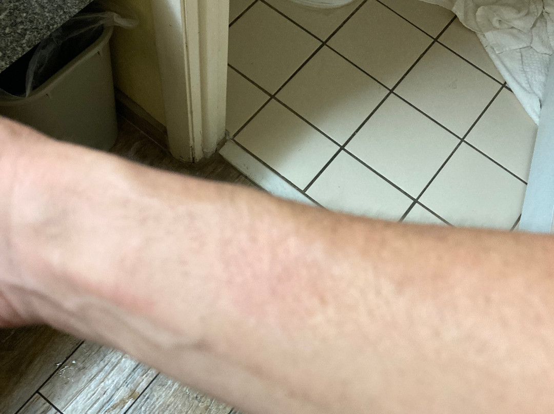 Quality Inn White Springs Suwanee主图