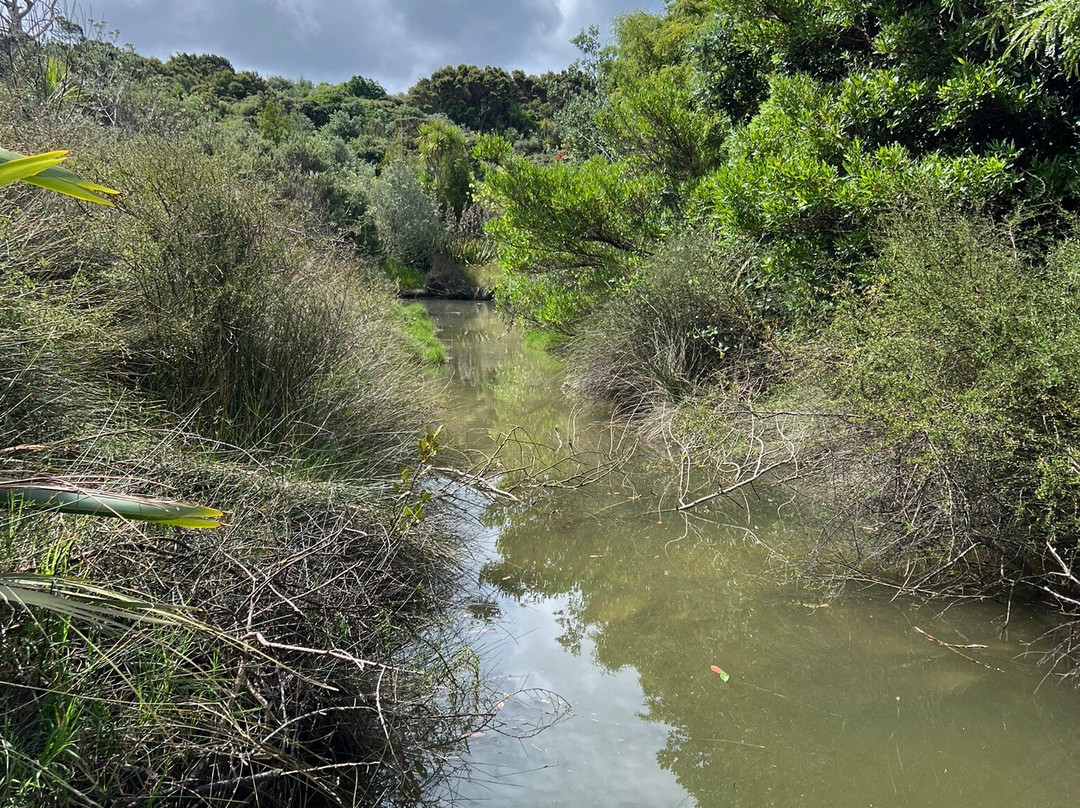 Long Bay Regional Park-Long Bay必去景点