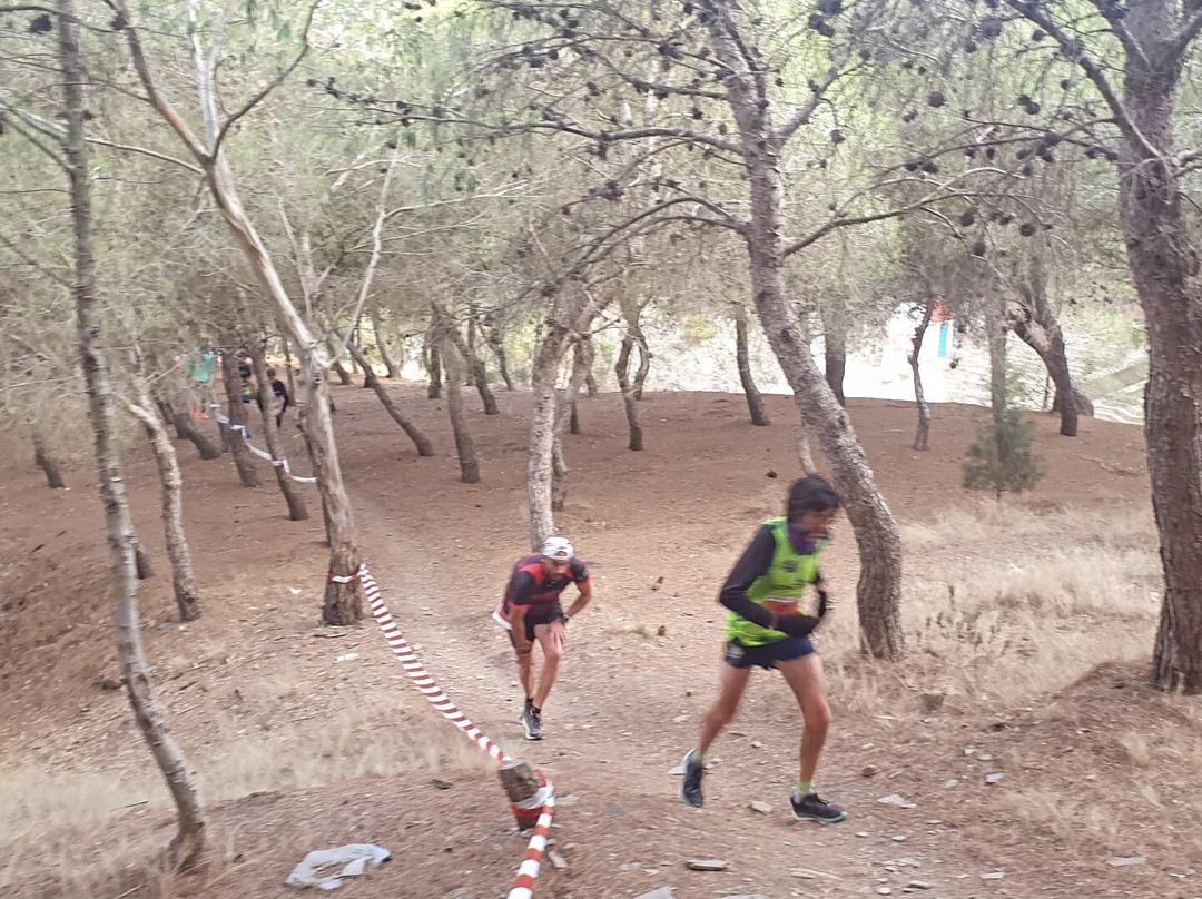 Carrera Alcalde De La Unión景点图片