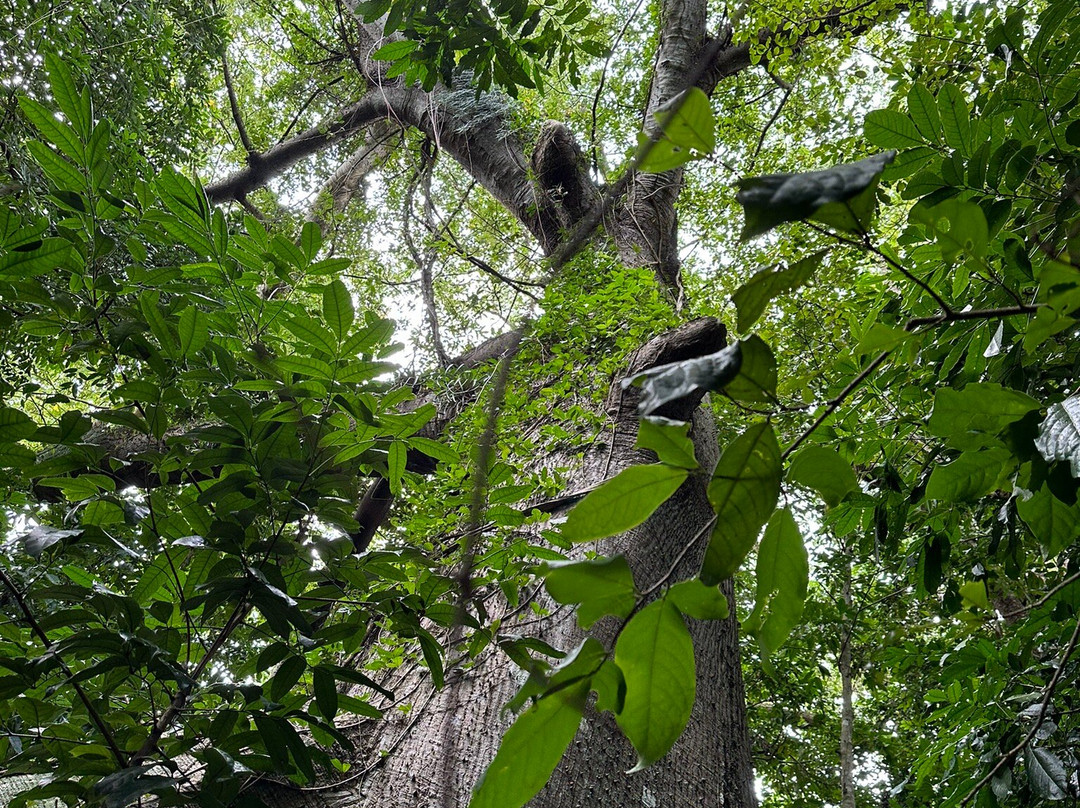 Altura-圣胡安必去景点