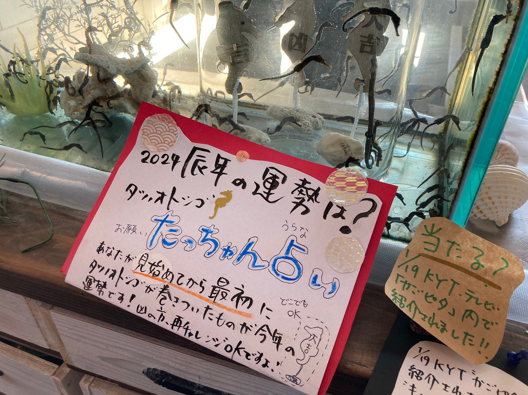 Seahorse House-南九州市必去景点