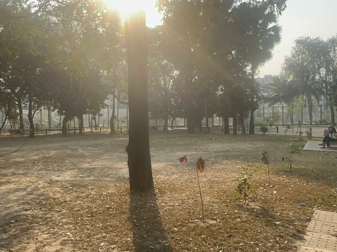 Gulshan Lake Park-达卡市必去景点