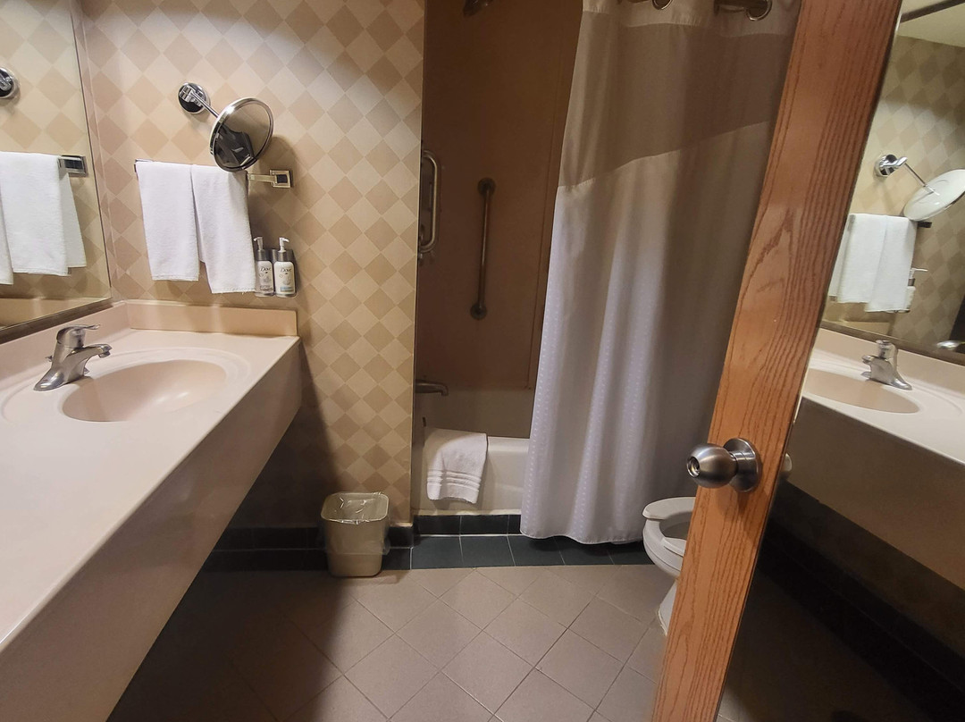 Holiday Inn Express Guanajuato by IHG主图