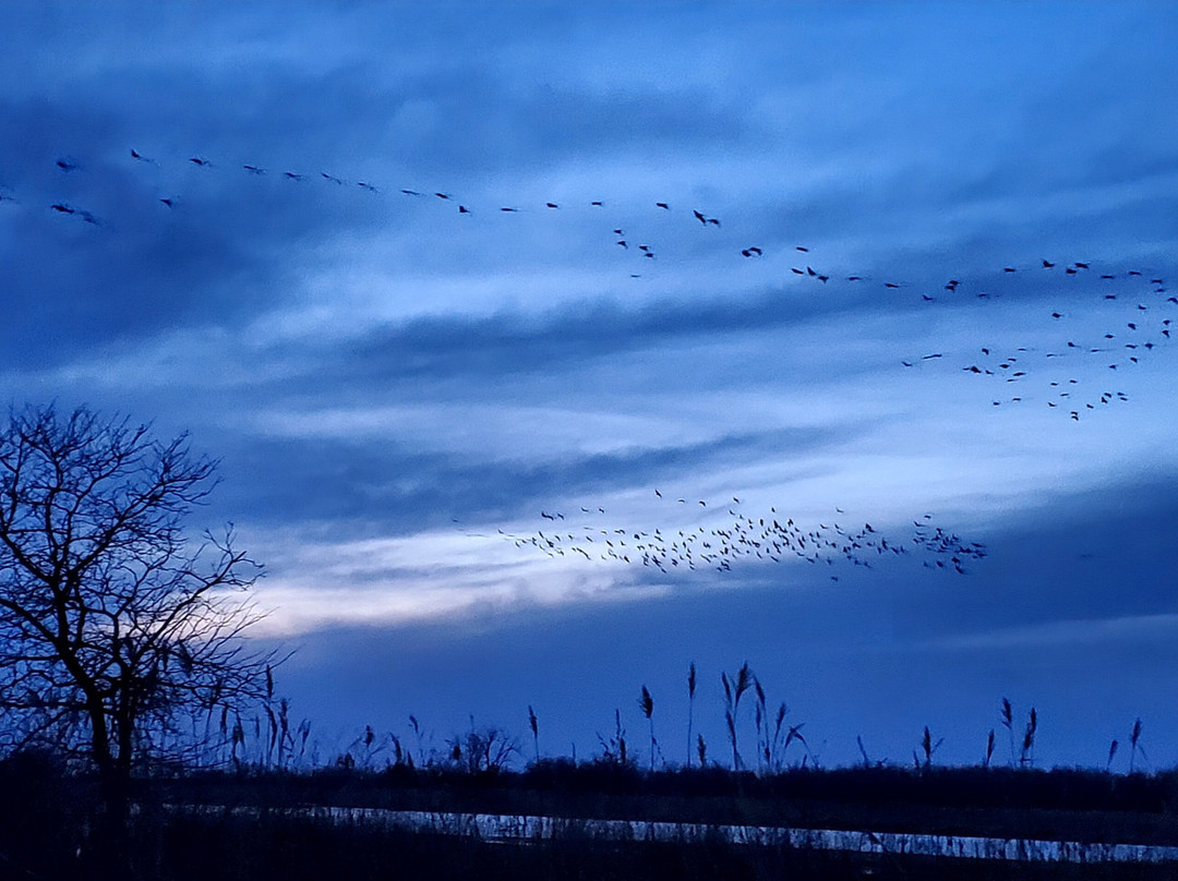 Dusty Trails-北普拉特必去景点