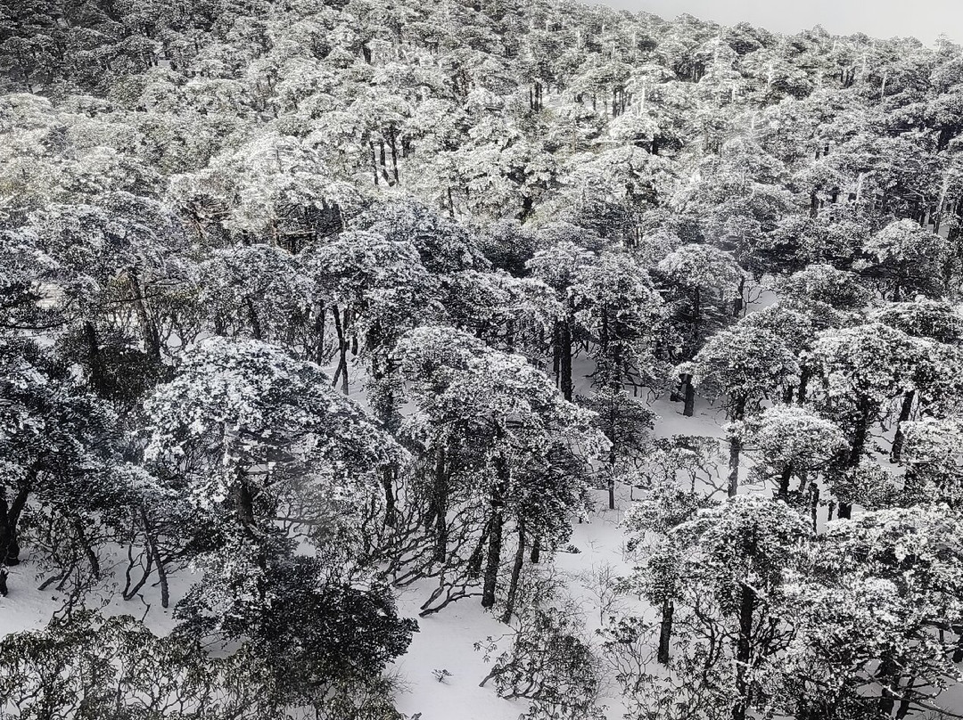 苍山景点图片