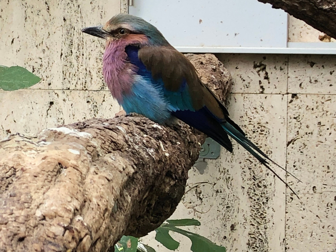 Zoo Landau景点图片