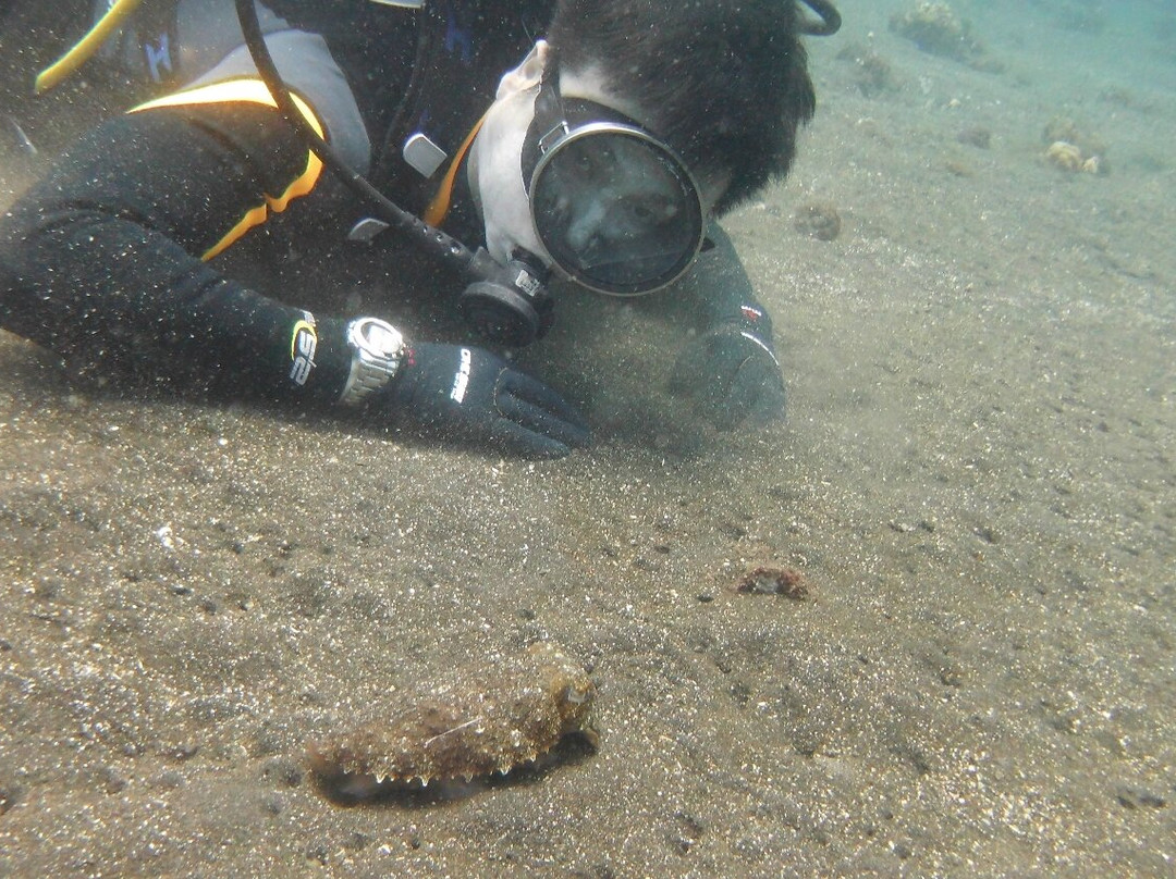 巴厘岛阿尔巴潜水度假村别墅主图