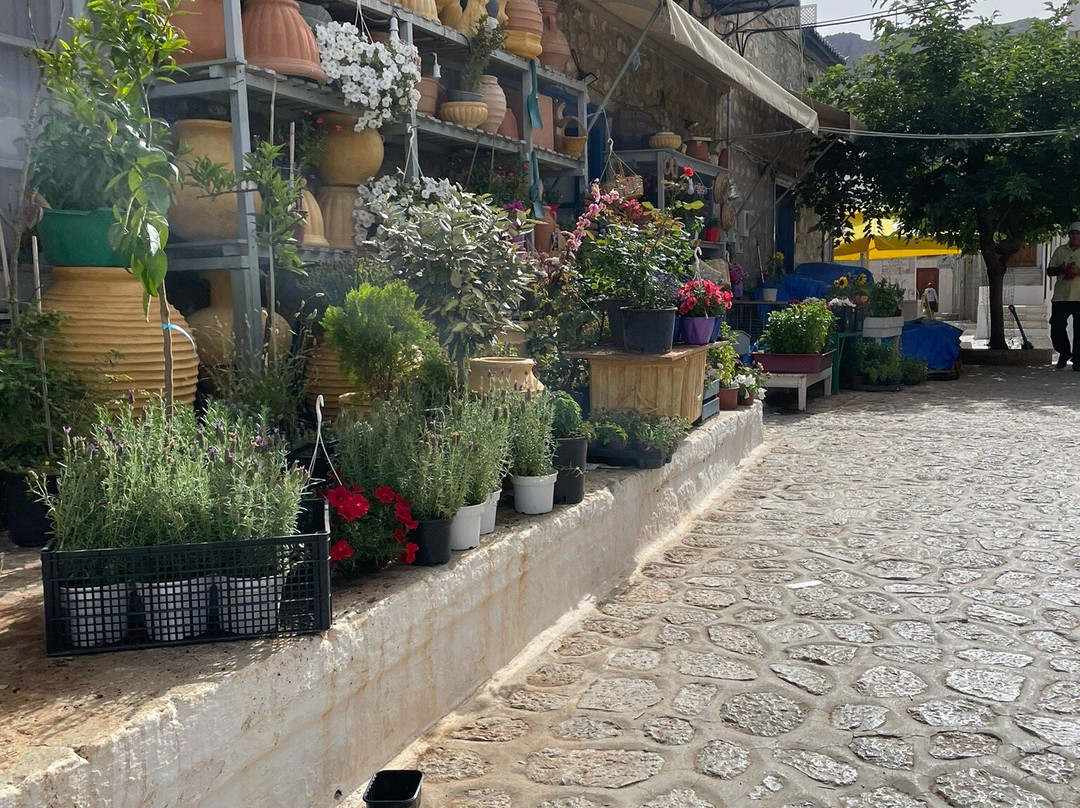 Marialena Maramenou-Hydra Town必去景点