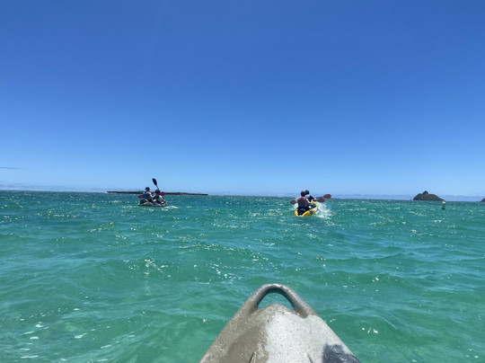 Hawaiian WaterSports Kailua-科纳必去景点