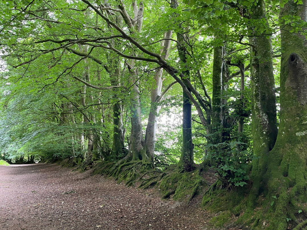 Woodbury Castle