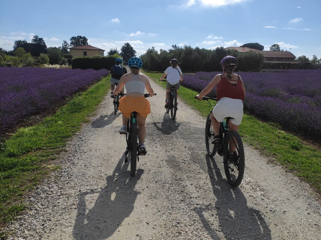 Tuscany Love Bike景点图片