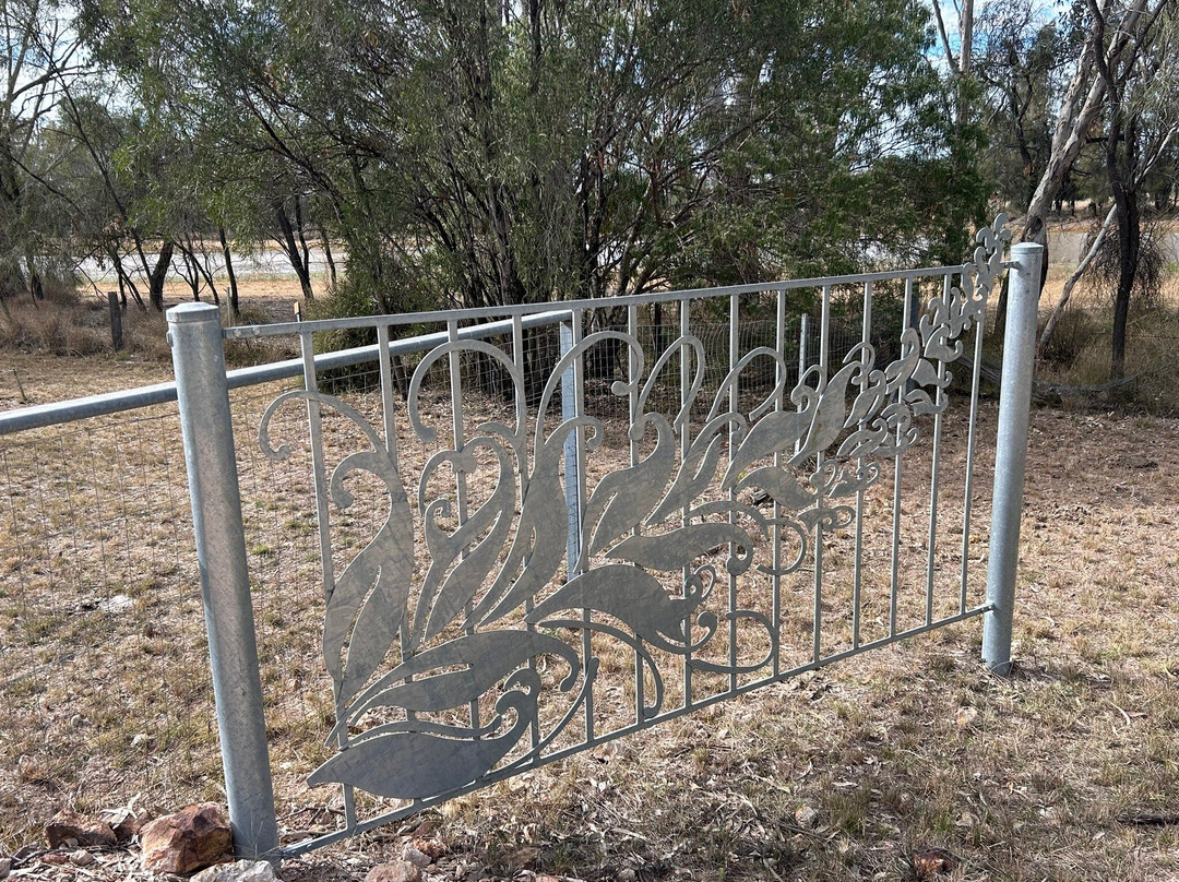 Myall Park Botanic Garden-Glenmorgan必去景点