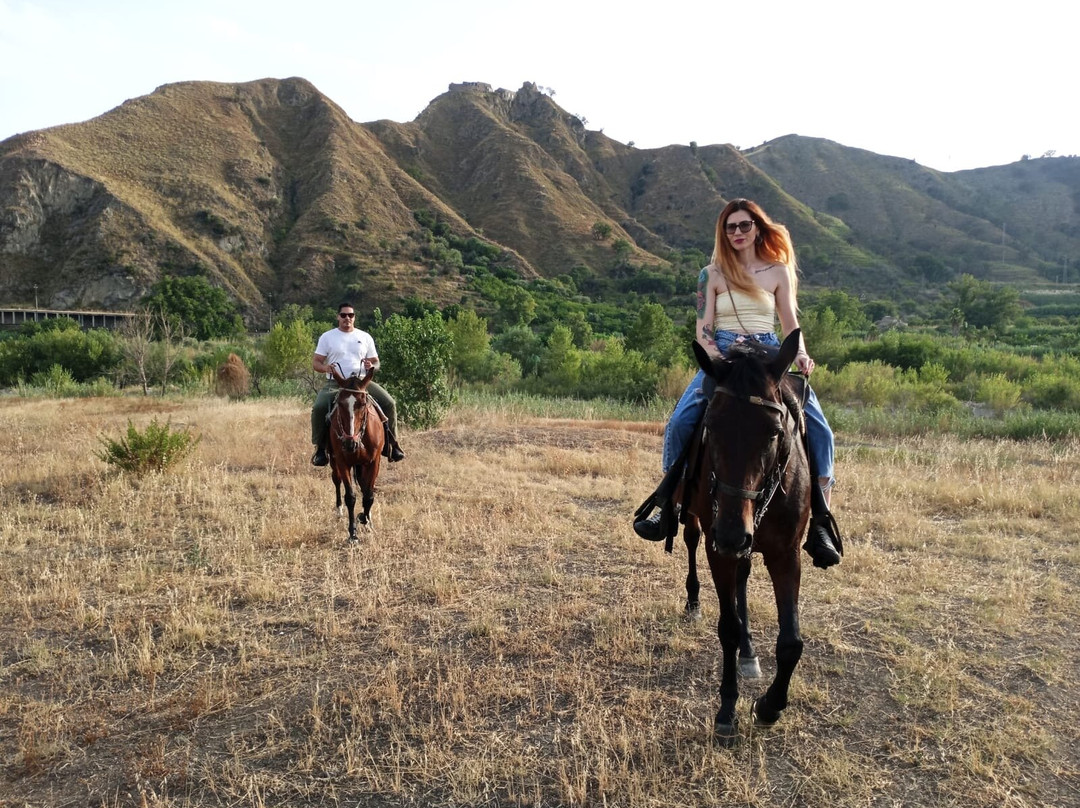 Sunshine Adventure Horses Power景点图片