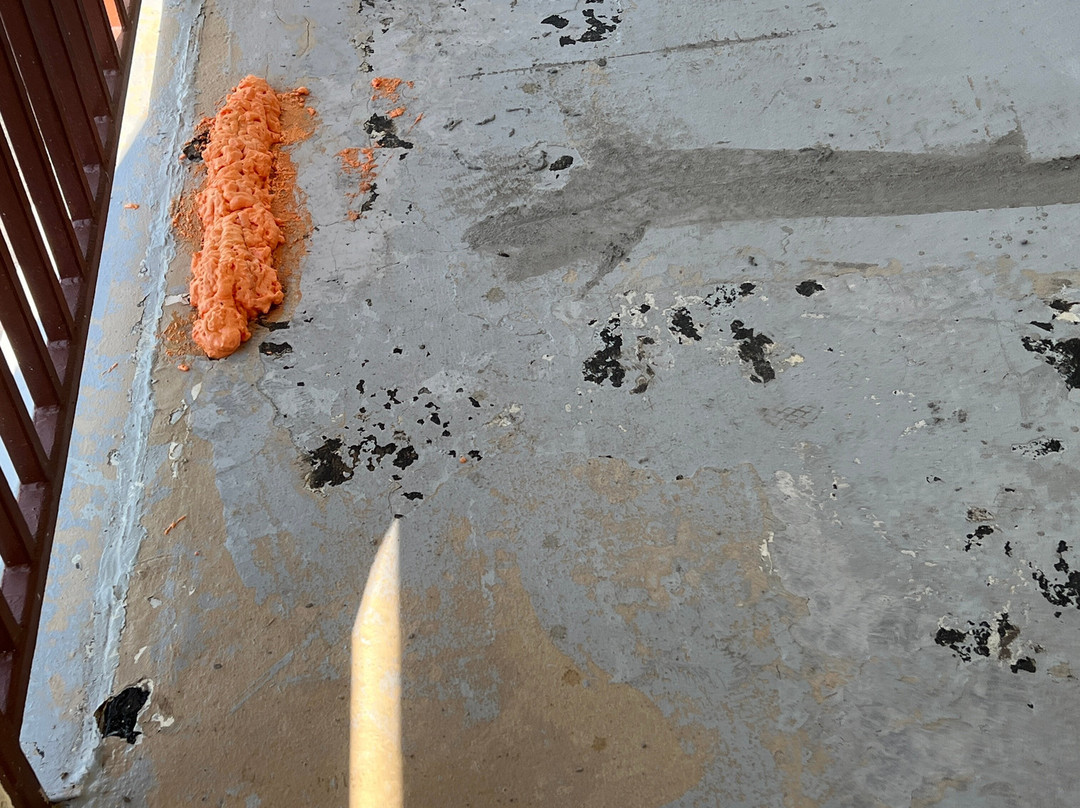 圣查尔斯贝斯特韦斯特酒店主图