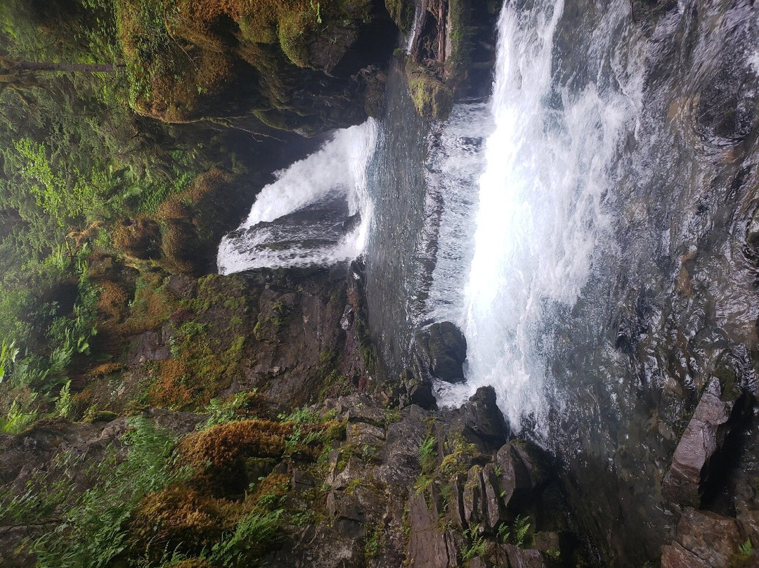Virgin Creek Falls Trail景点图片