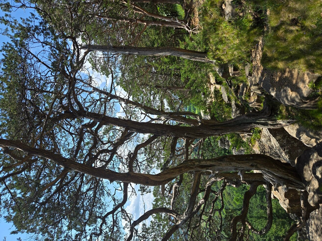 Gibraltar Rock State Natural Area-Lodi必去景点