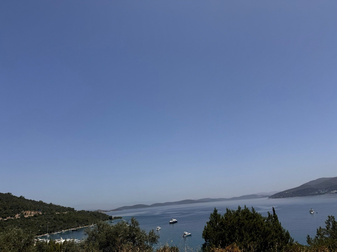 Gumbet Beach景点图片
