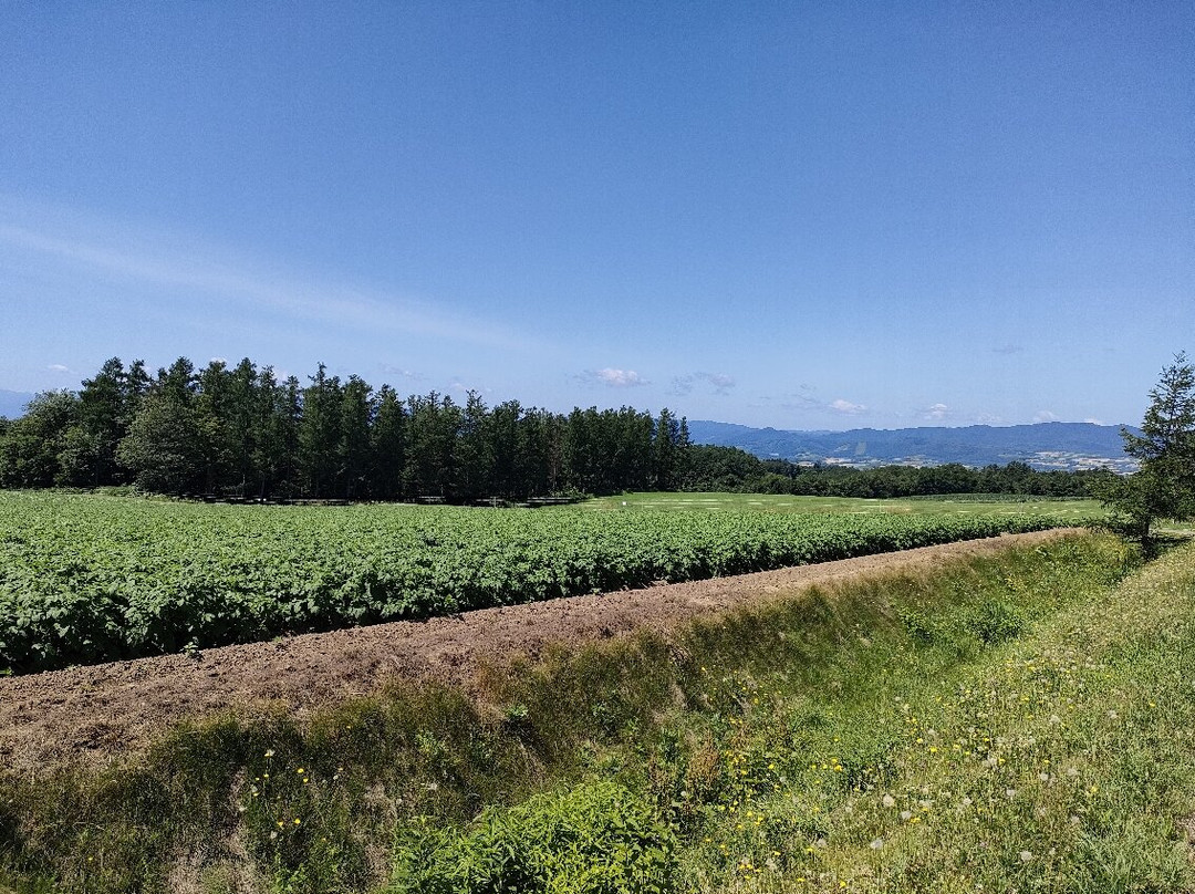 Asahino Yamabiko Highlands-上富良野町必去景点