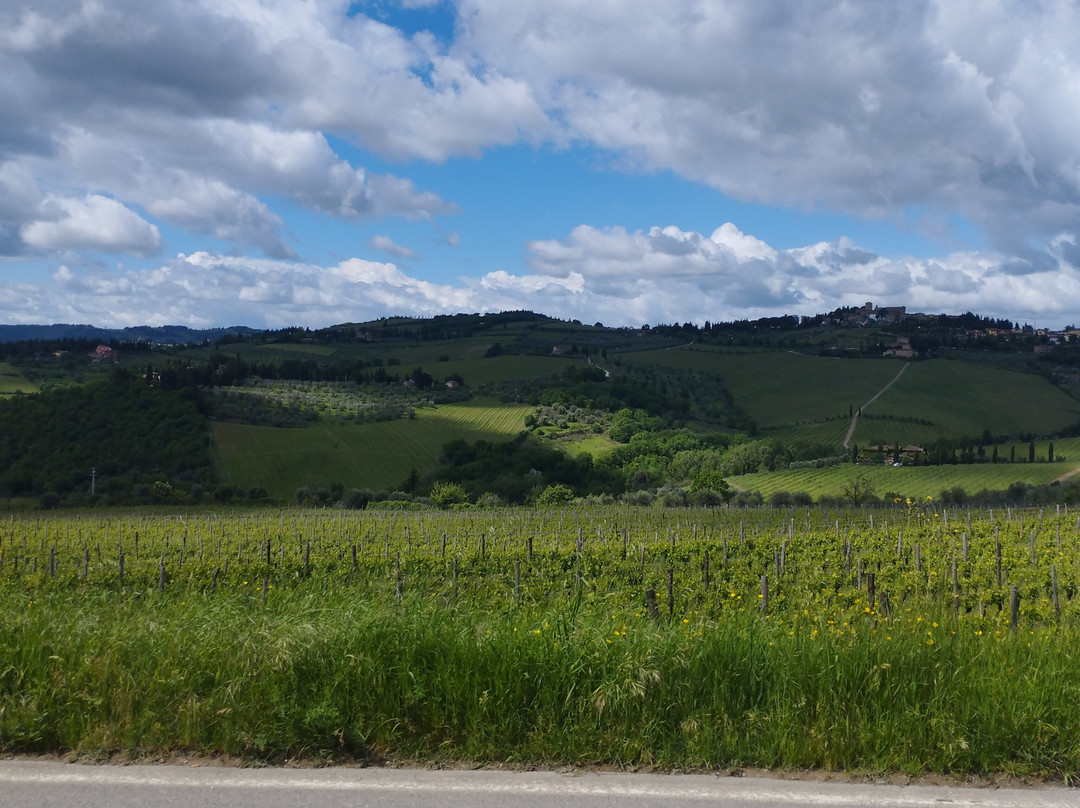 Chiantigiana Road景点图片