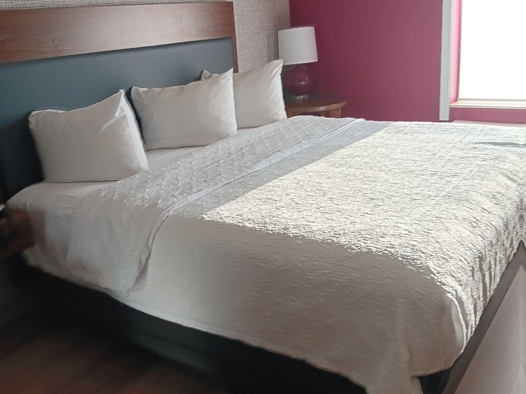 Home2 Suites By Hilton Clarksville Louisville North, In主图