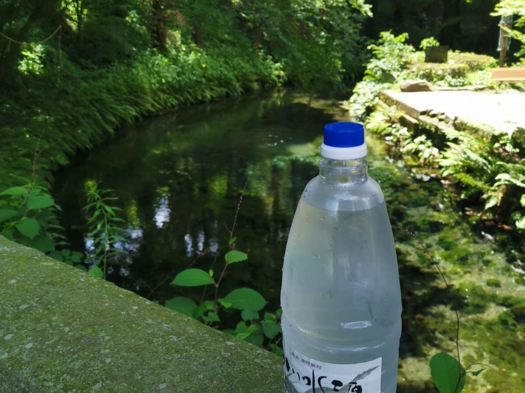 Shirakawa Springs景点图片