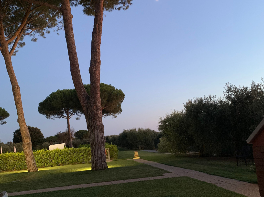 Agriturismo Podere Nonno Gino主图