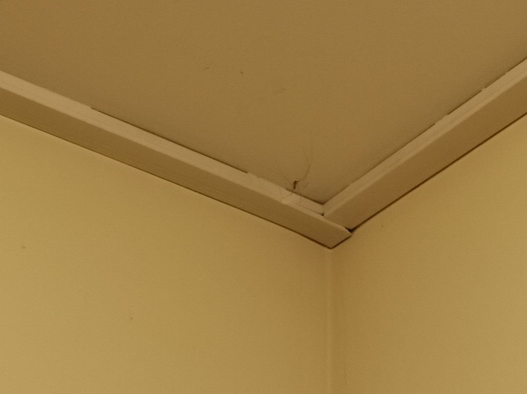 Hotel Seestuben主图