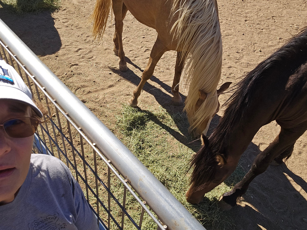 Shoestring City Ranch-Phelan必去景点