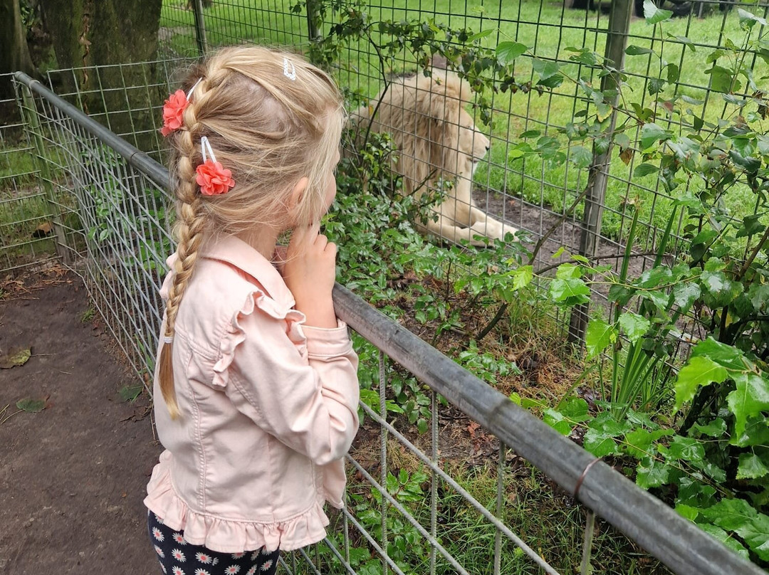 Tier Und Freizeitpark Thuele GmbH景点图片
