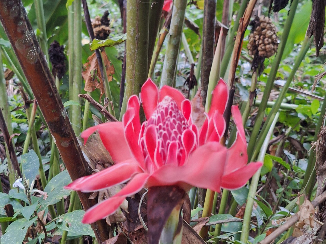 Amazon Peru Travellers-库斯科必去景点