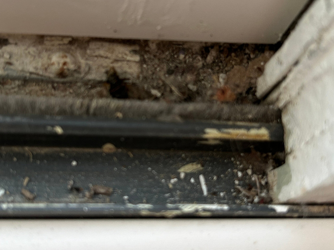 The Becket Motel主图