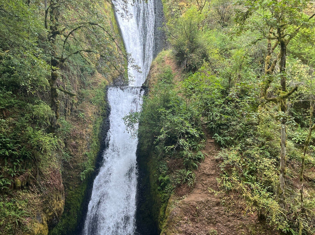 Sasquatch Shuttle-Bridal Veil必去景点